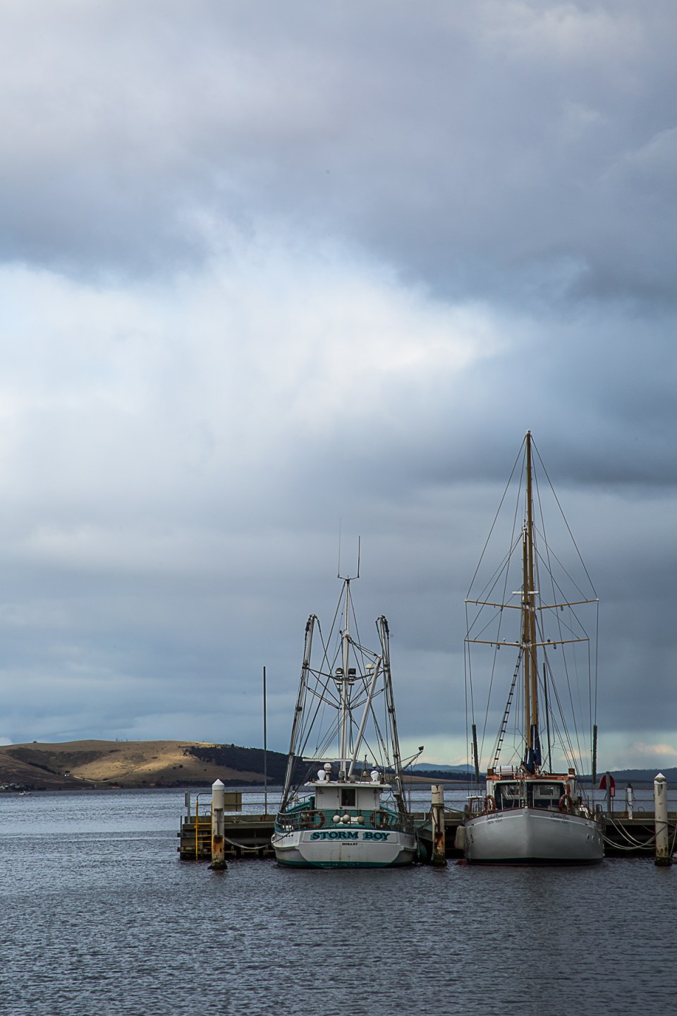 2015_09_17 FluffersDoTas-28