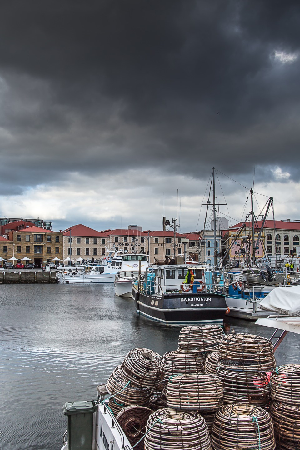 2015_09_17 FluffersDoTas-32