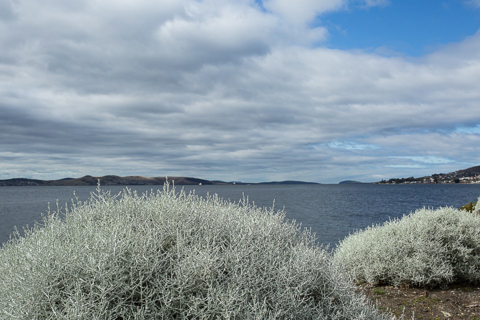 2015_09_17 FluffersDoTas-4