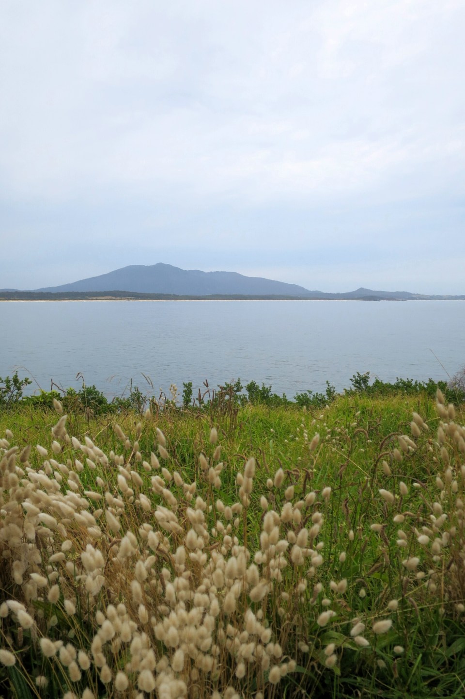 2016-01-02 19.03.50.jpg image