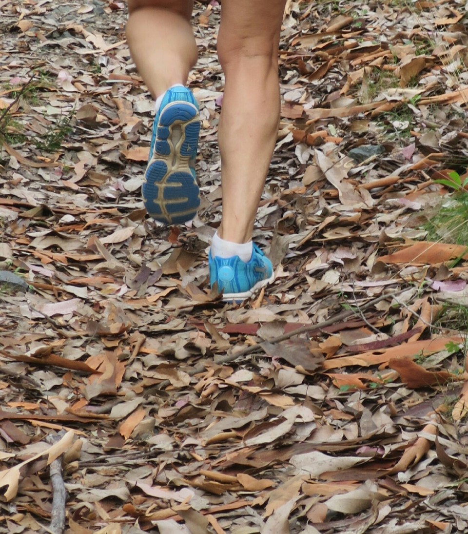 2016-01-02 19.06.44.jpg image