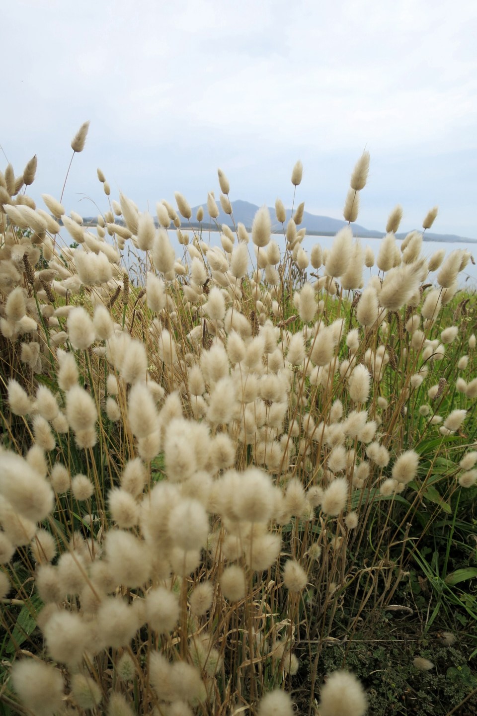 2016-01-02 19.11.00.jpg image