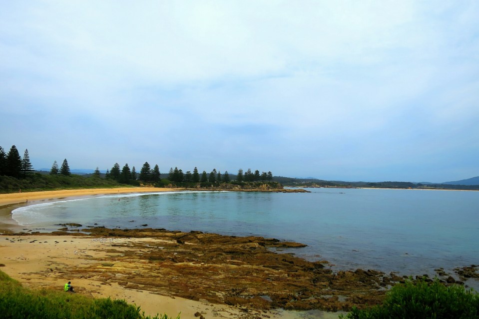 2016-01-02 19.11.26.jpg image