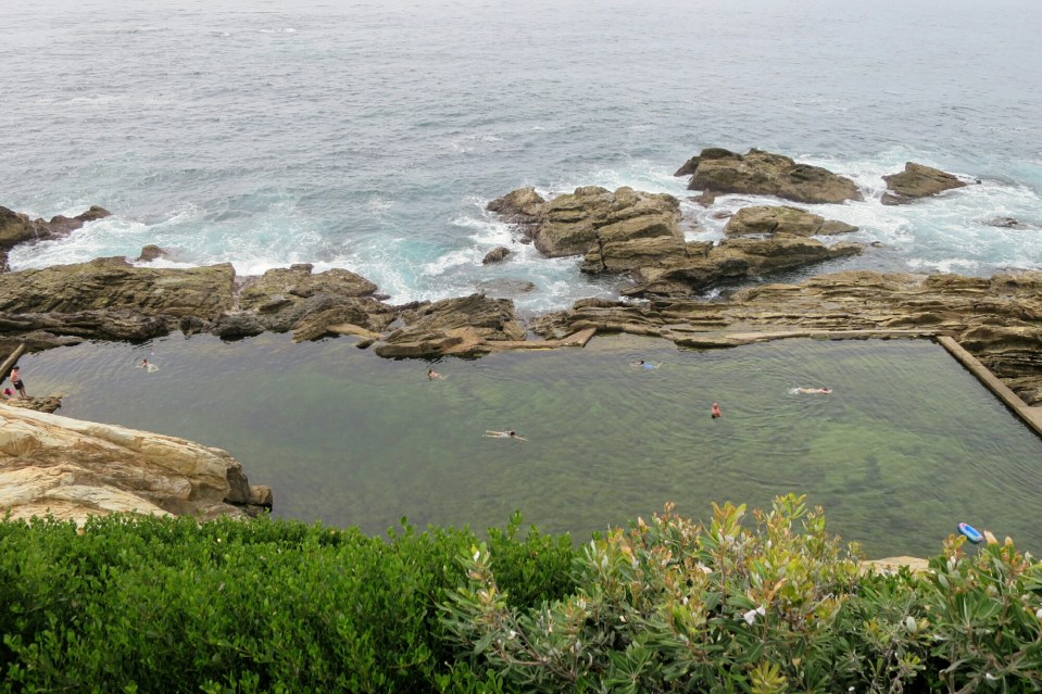 2016-01-02 19.12.04.jpg image