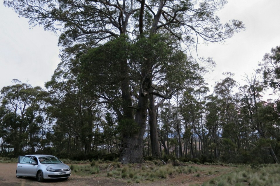 2016-01-06 18.25.11.jpg image