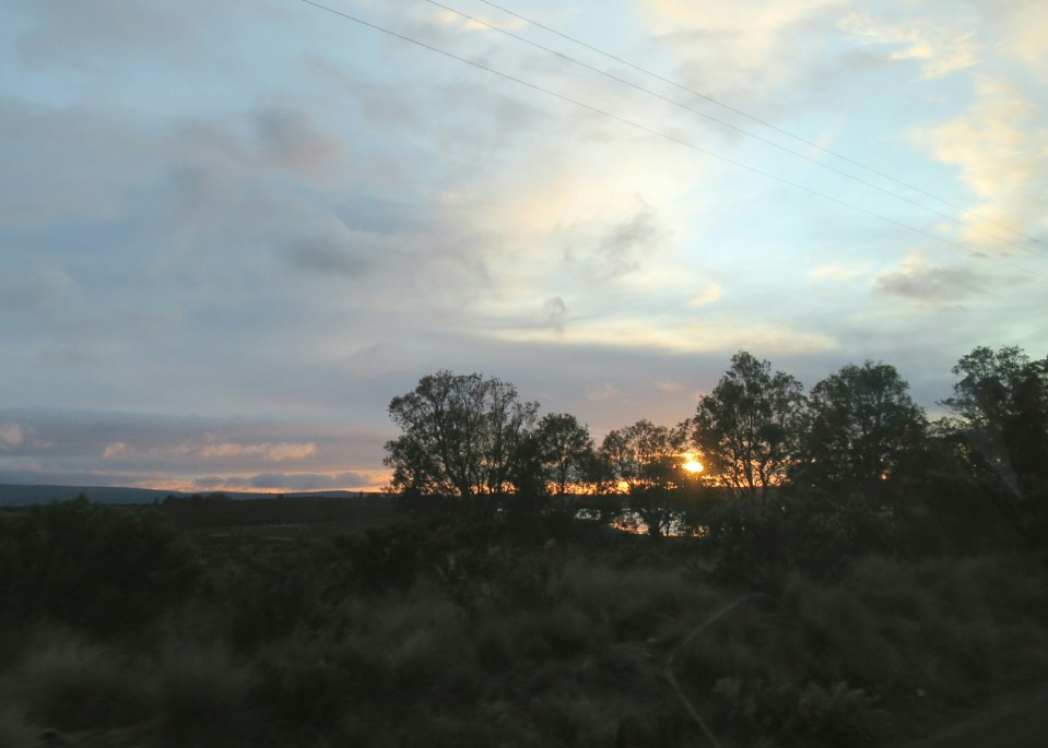 2016-01-06 18.27.35.jpg image