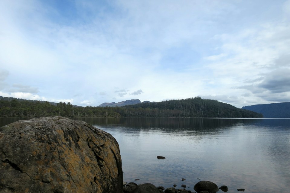 2016-01-06 18.28.23.jpg image