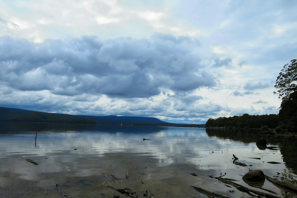 2016-01-06 18.32.13.jpg image