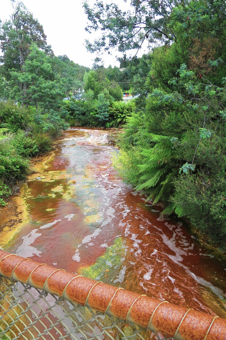 2016-01-06 18.34.01.jpg image