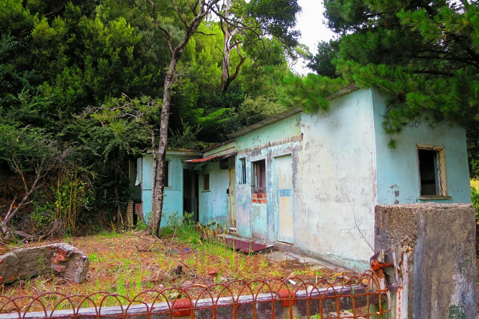 2016-01-06 18.36.47.jpg image