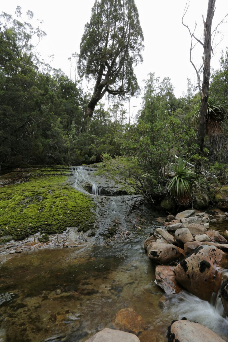 2016-01-11 15.34.03.jpg image