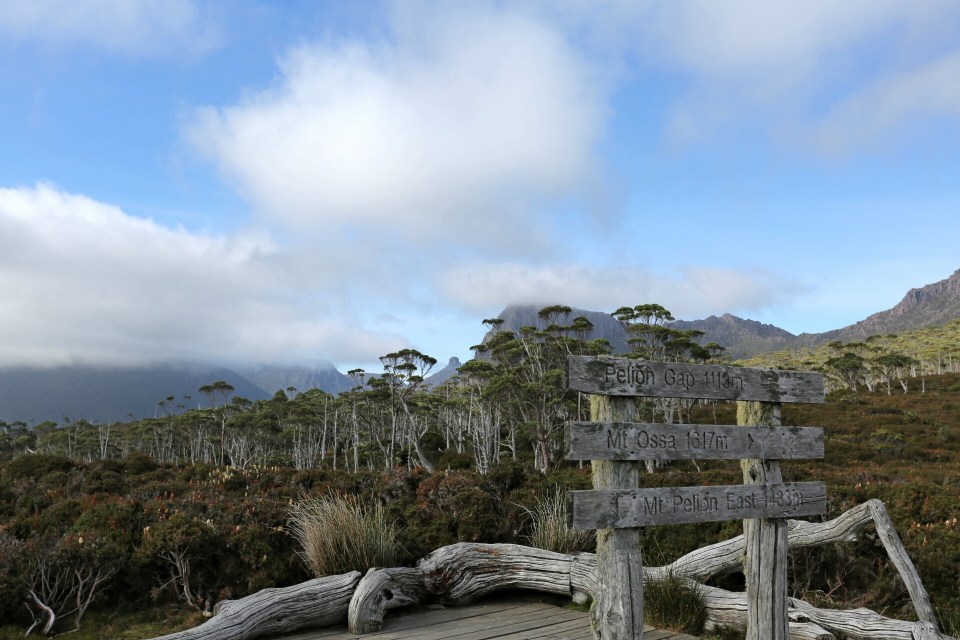 2016-01-11 15.35.23.jpg image