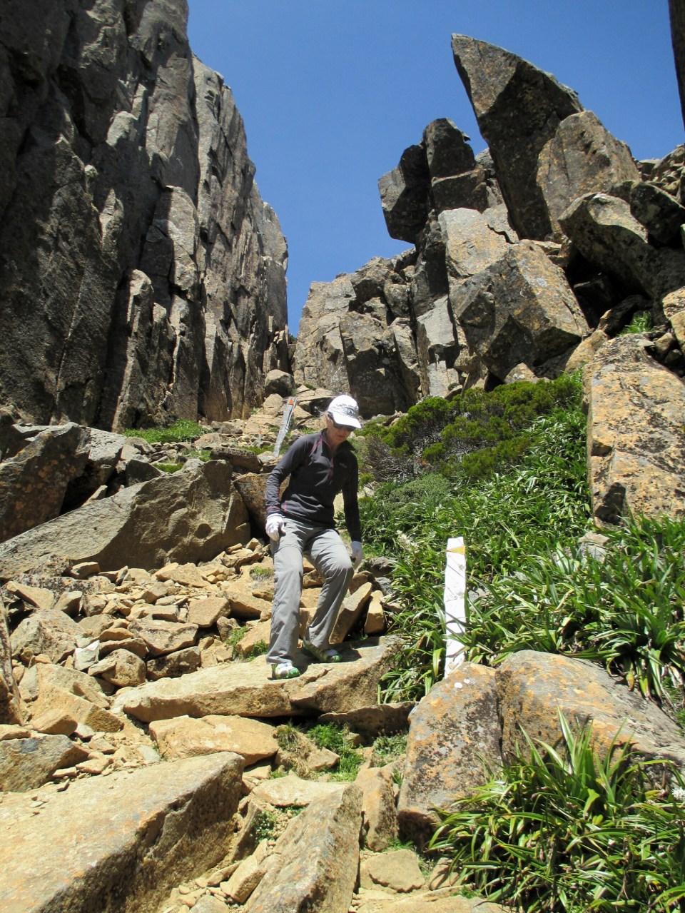 2016-01-11 20.20.39.jpg image