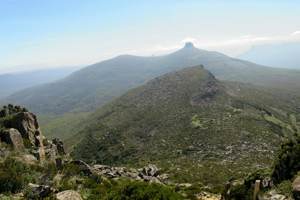 2016-01-11 20.40.22.jpg image