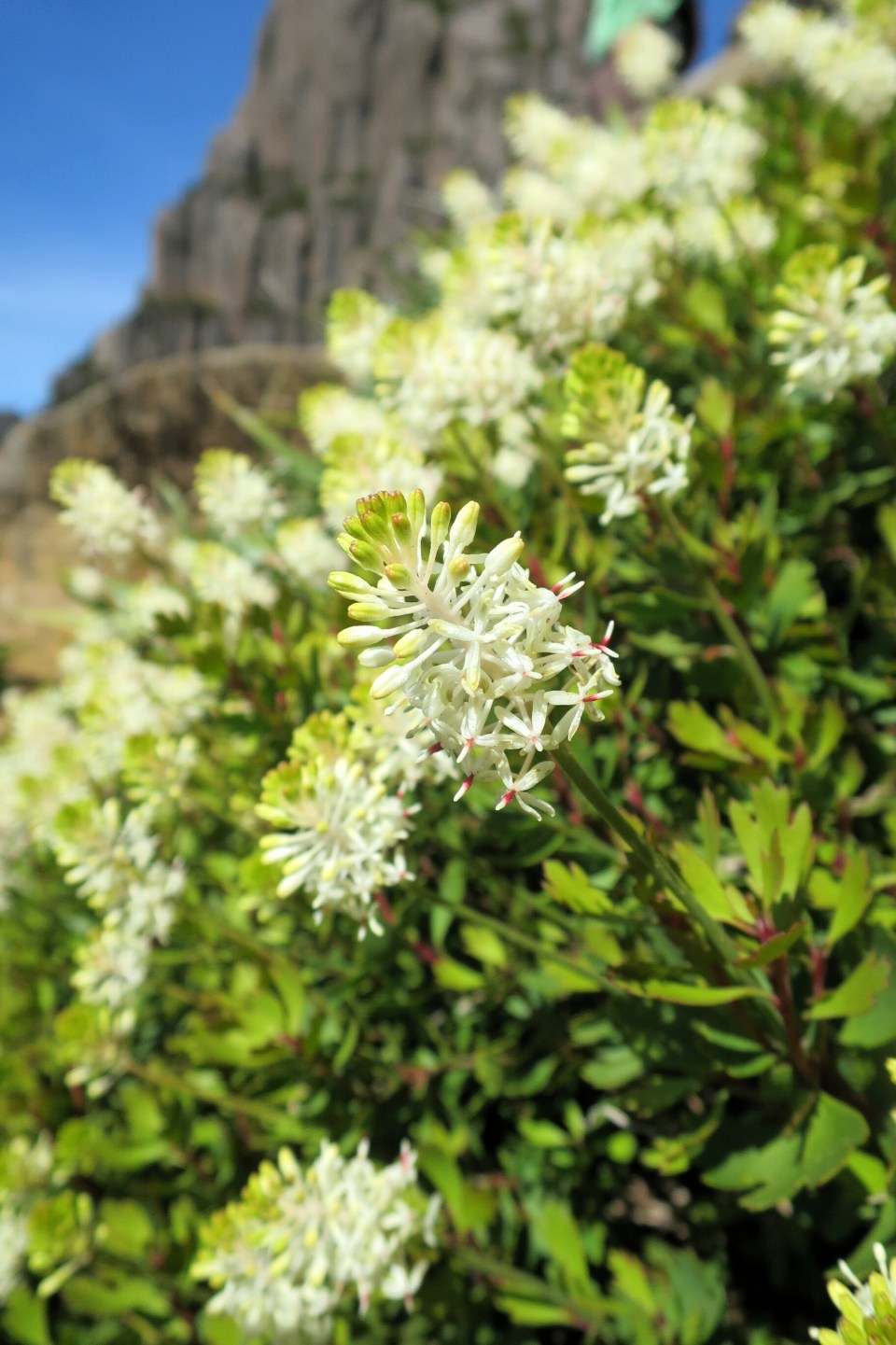 2016-01-11 20.42.11.jpg image