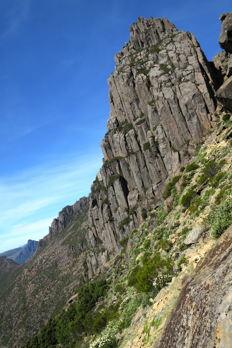 2016-01-11 20.42.31.jpg image