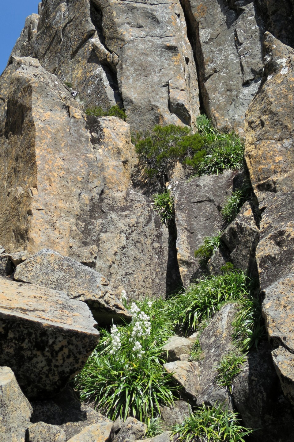 2016-01-11 20.43.50.jpg image