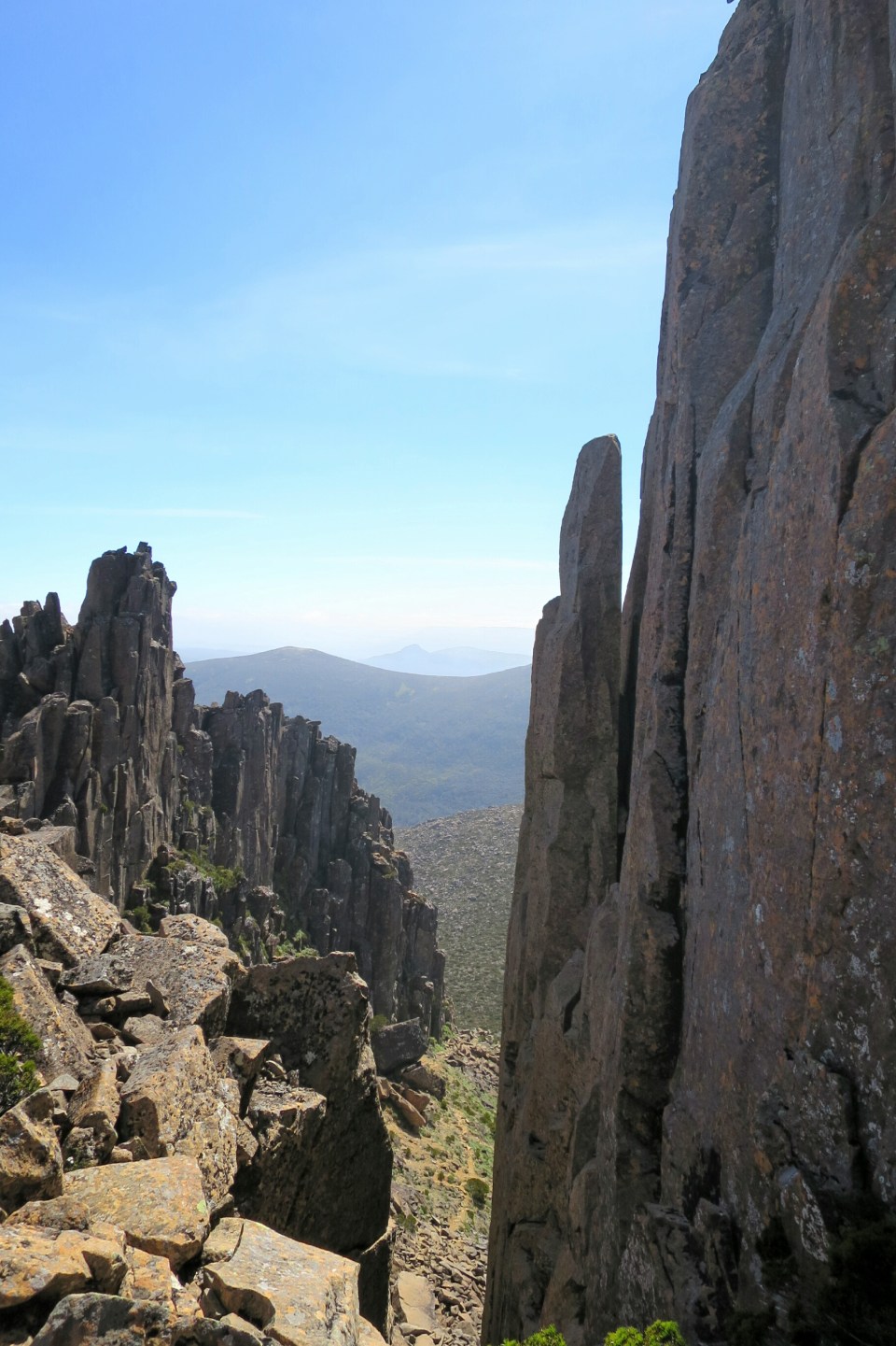 2016-01-11 20.44.16.jpg image