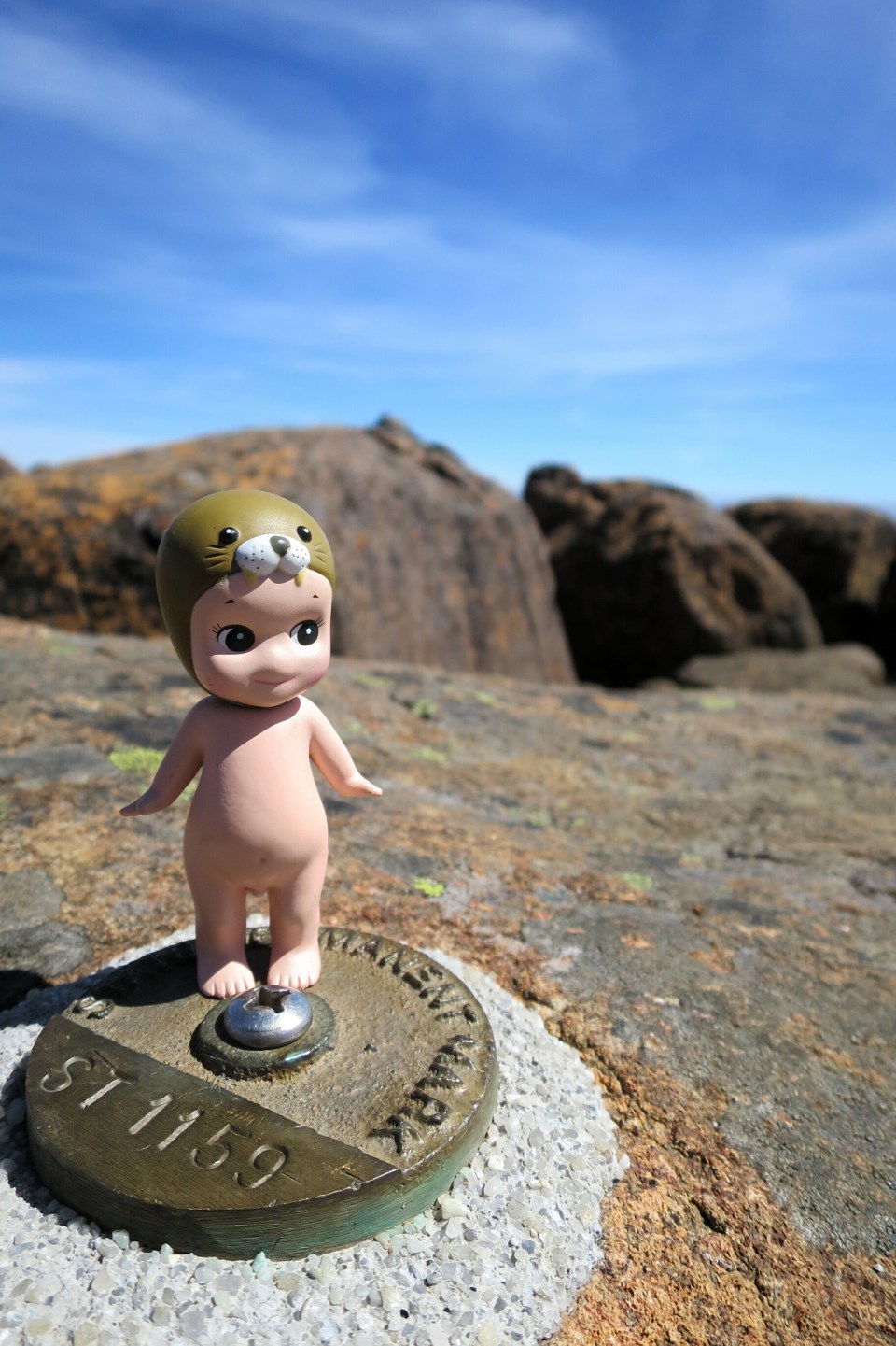 2016-01-11 20.44.56.jpg image