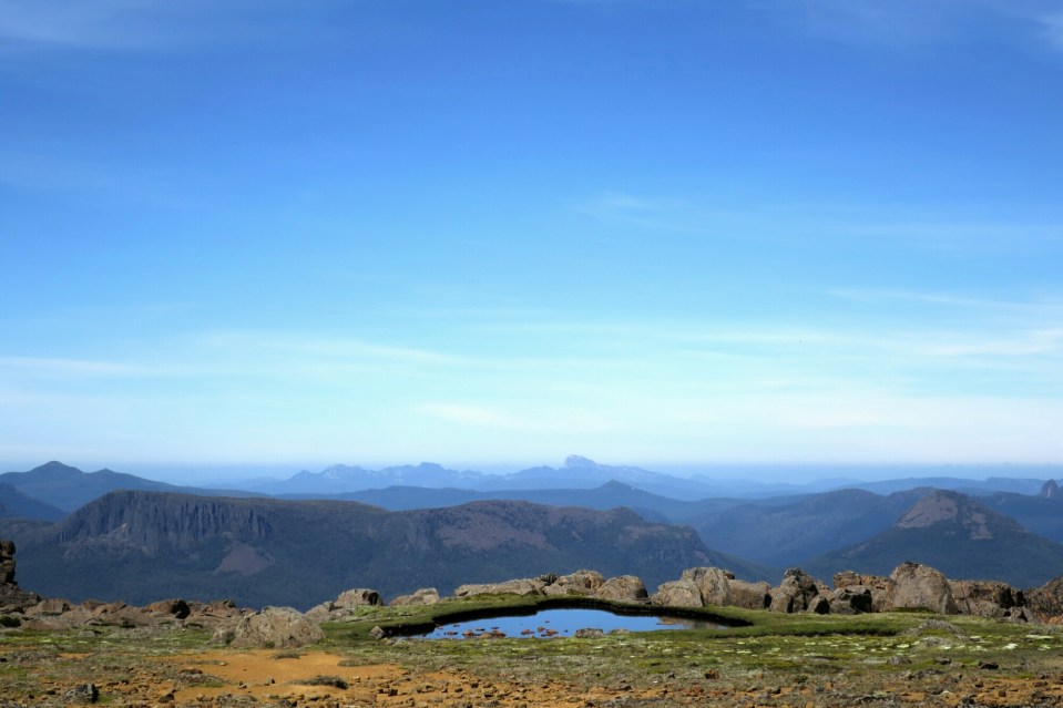 2016-01-11 20.45.25.jpg image