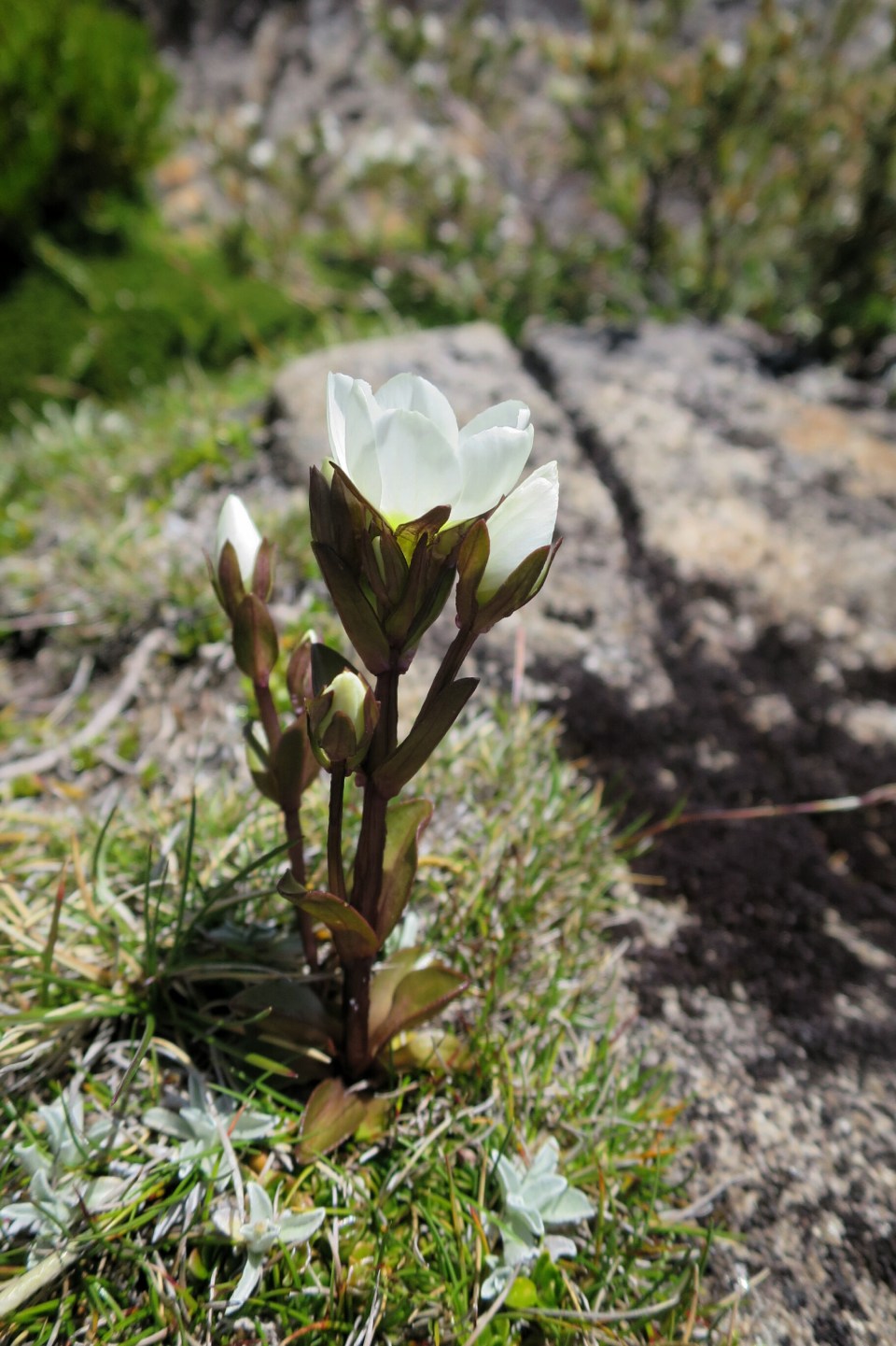 2016-01-11 20.47.36.jpg image