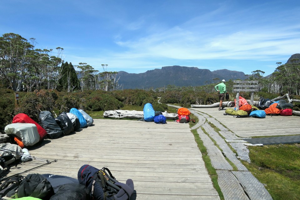 2016-01-11 20.48.39.jpg image