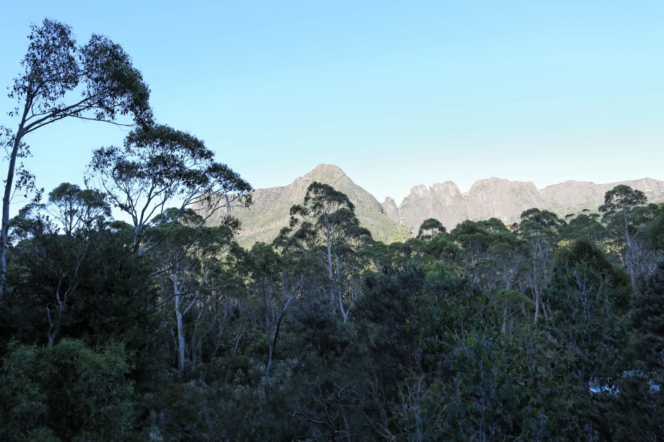 2016-01-11 21.14.44.jpg image