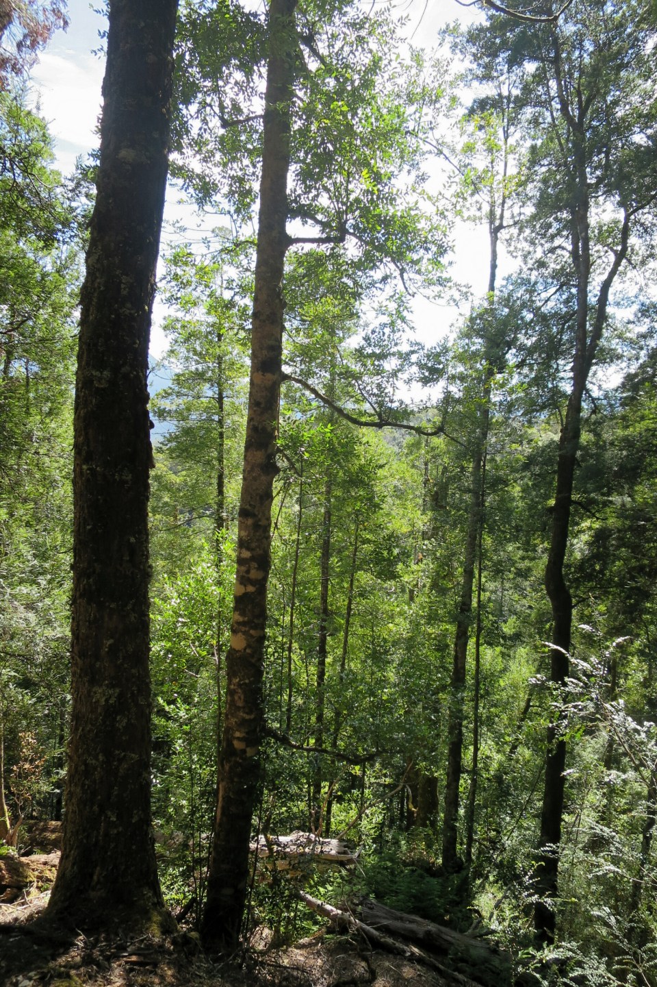 2016-01-14 11.06.55.jpg image