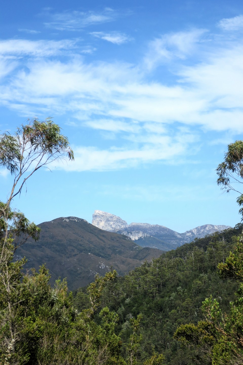 2016-01-14 11.07.22.jpg image