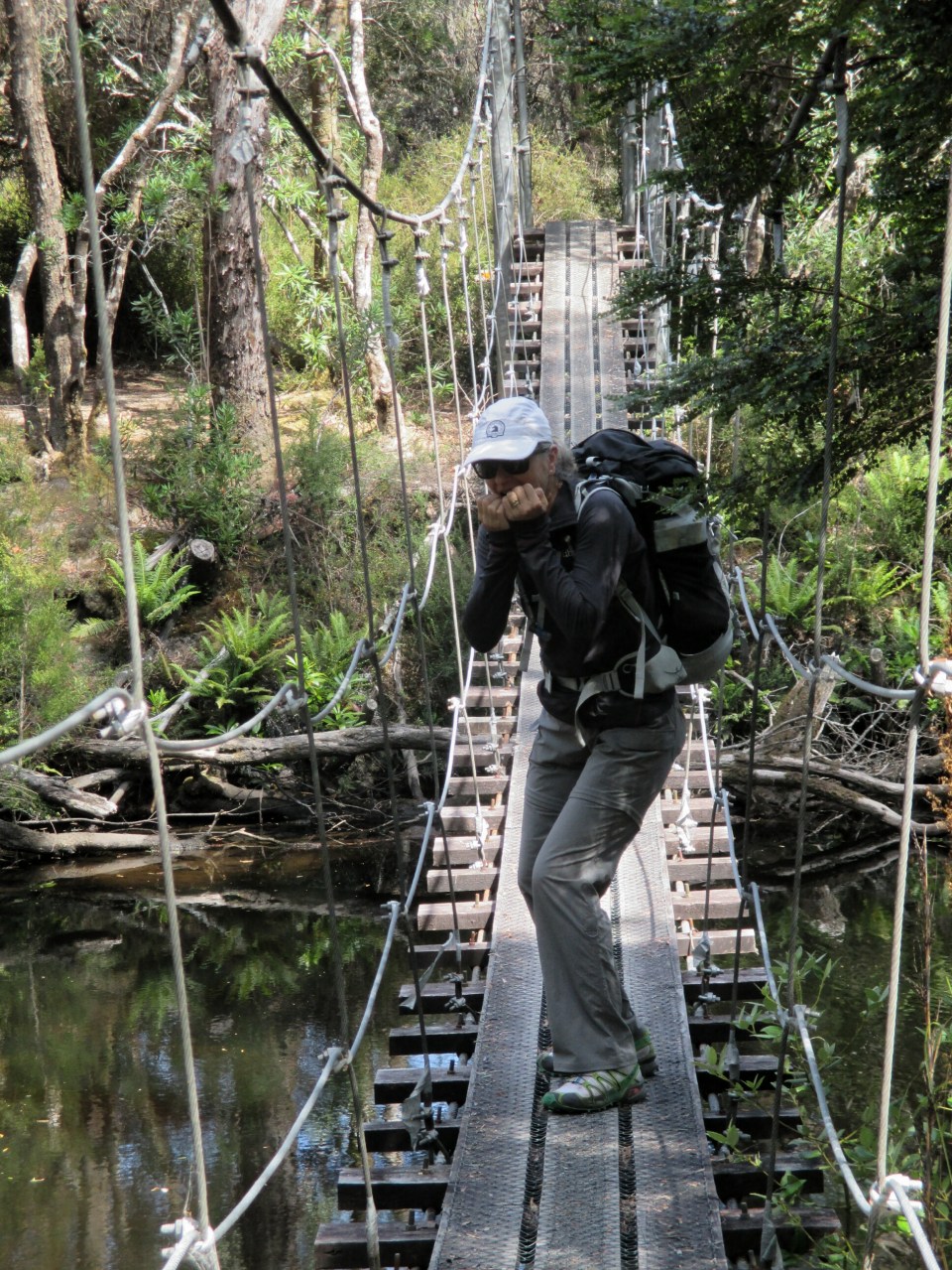 2016-01-14 11.09.19.jpg image