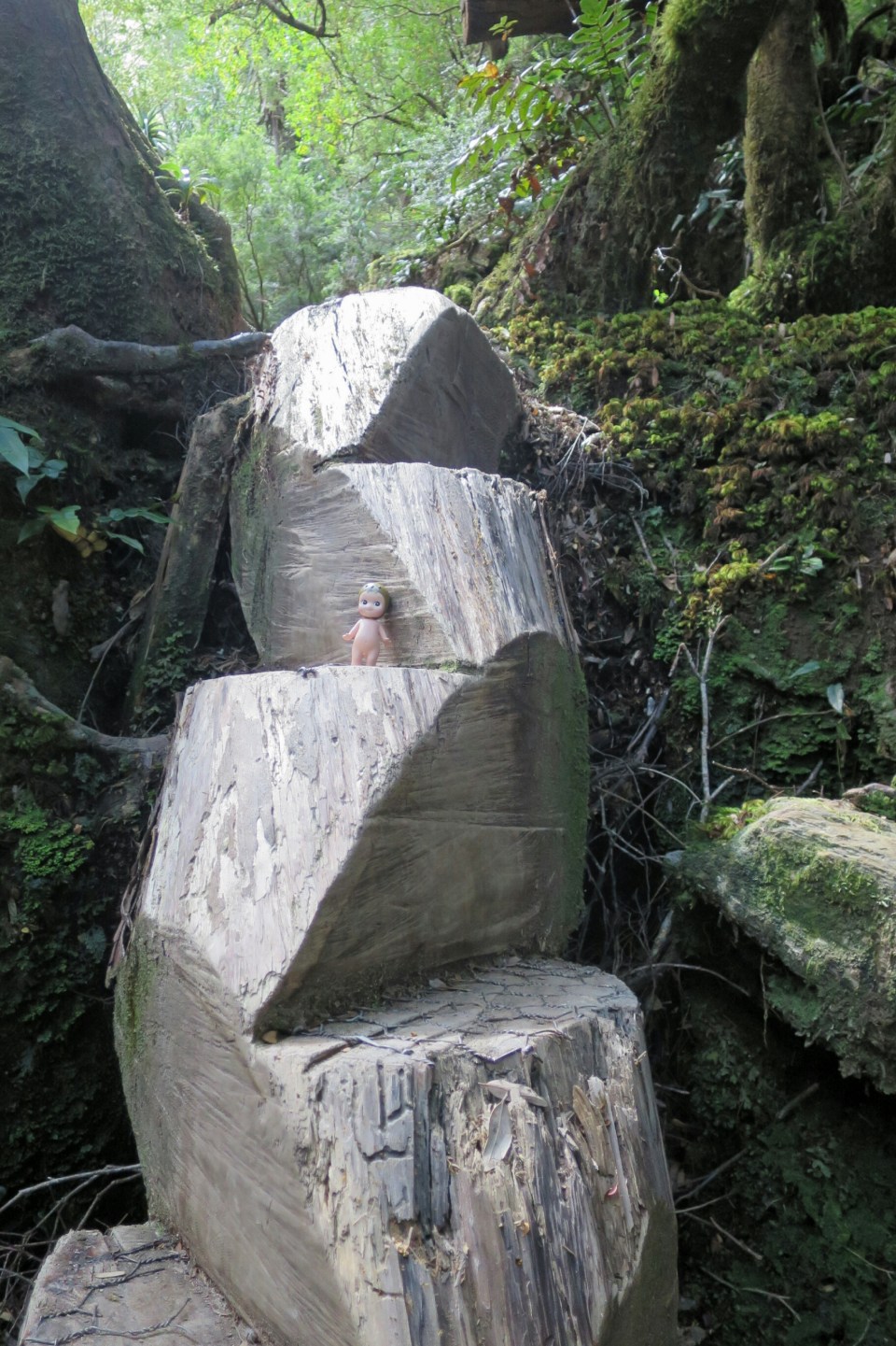 2016-01-14 11.11.15.jpg image