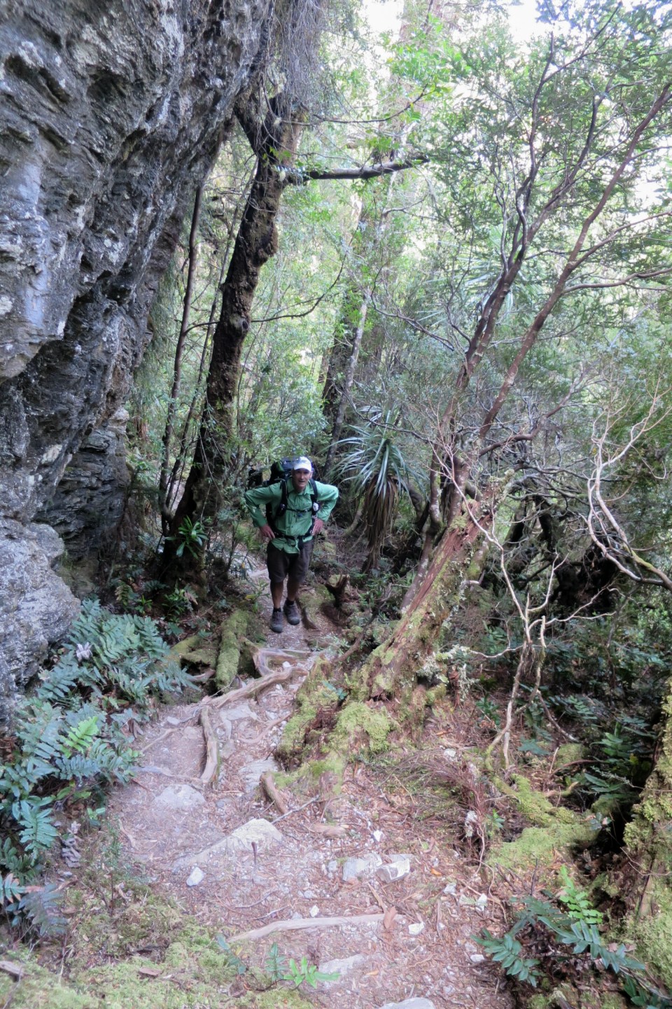 2016-01-14 11.11.39.jpg image