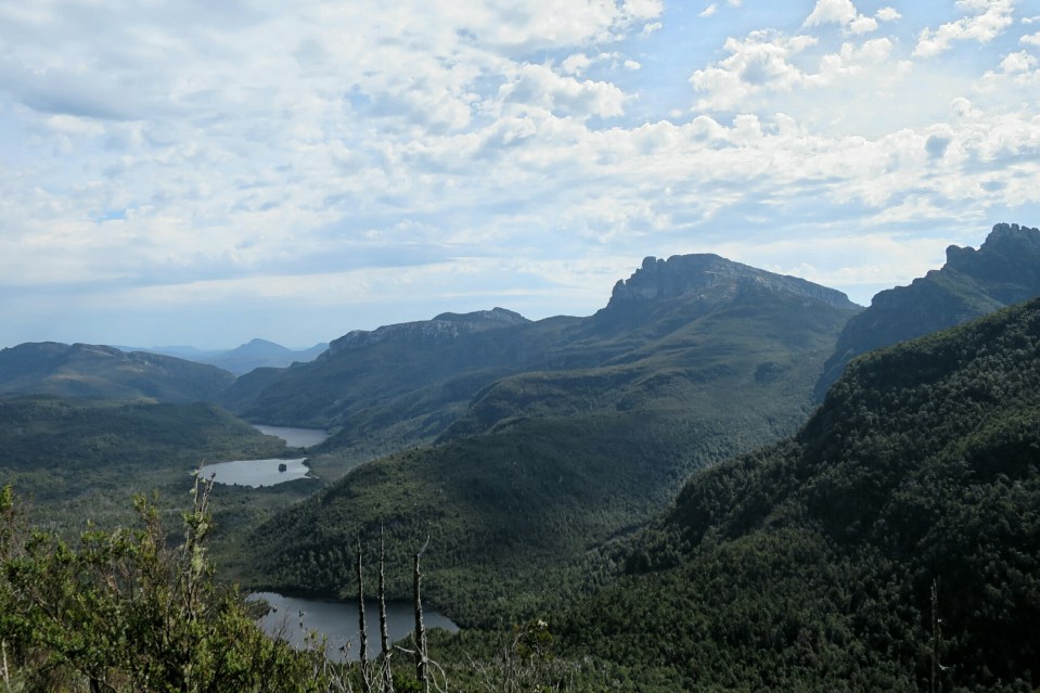 2016-01-14 11.12.37.jpg image