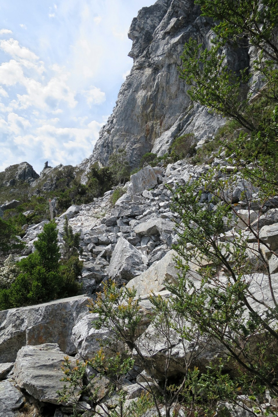 2016-01-14 11.13.56.jpg image