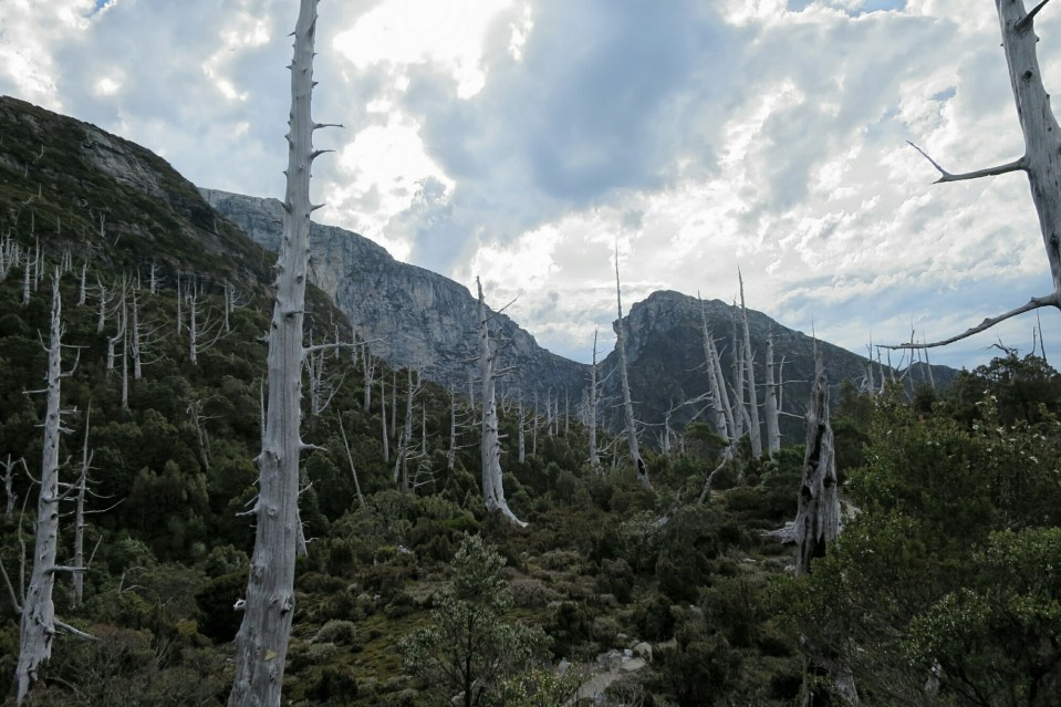 2016-01-14 11.15.17.jpg image