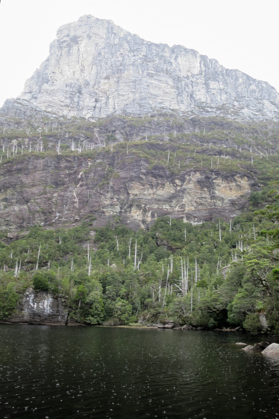 2016-01-14 11.16.04.jpg image