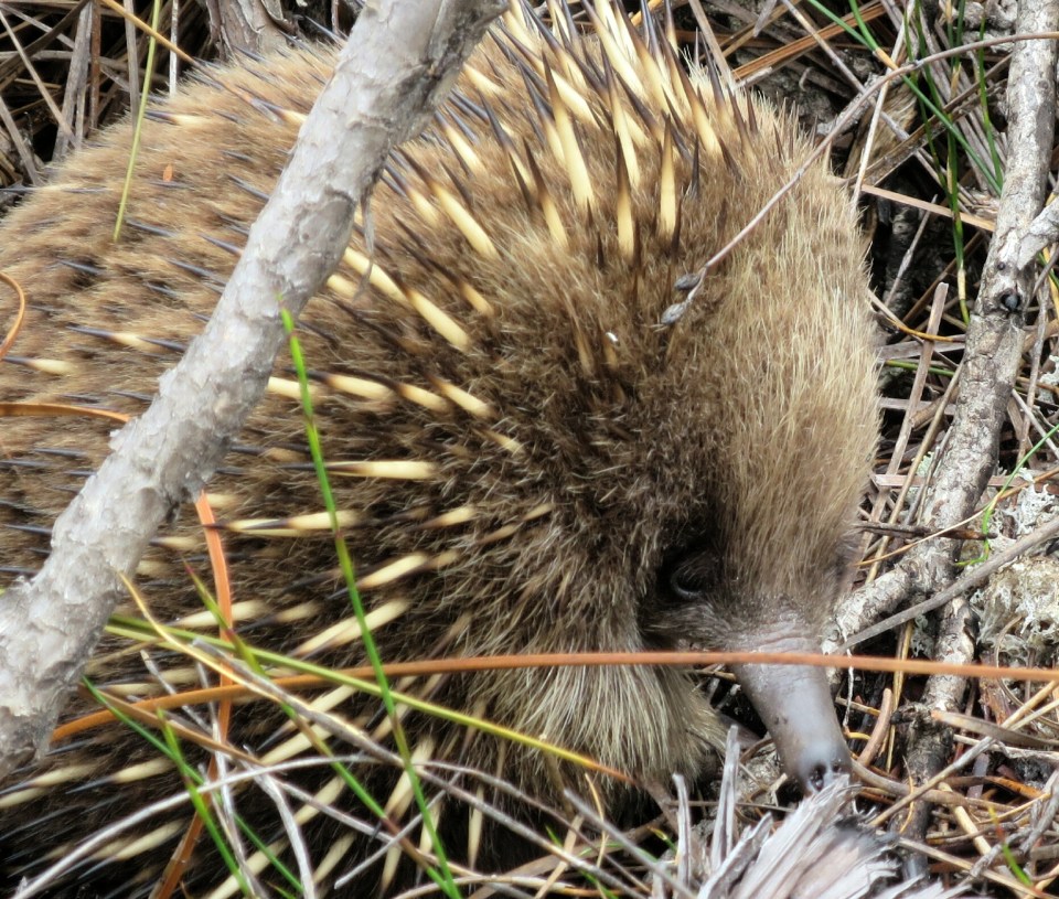 2016-01-15 21.17.48.jpg image