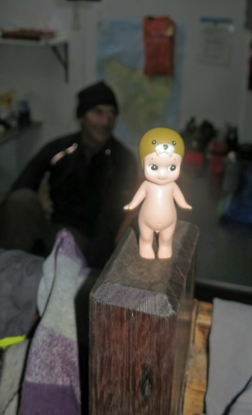 2016-01-15 21.20.55.jpg image