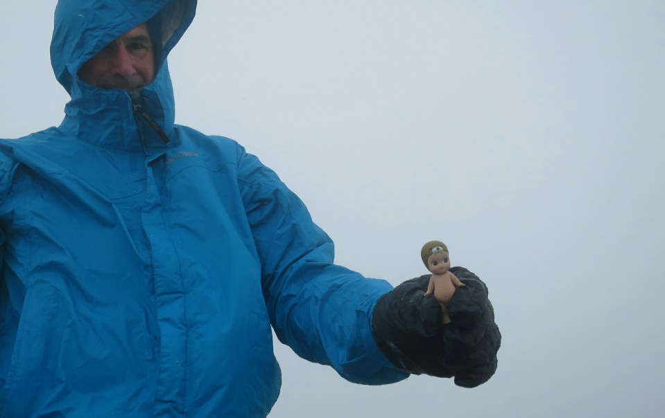 2016-01-15 21.23.40.jpg image