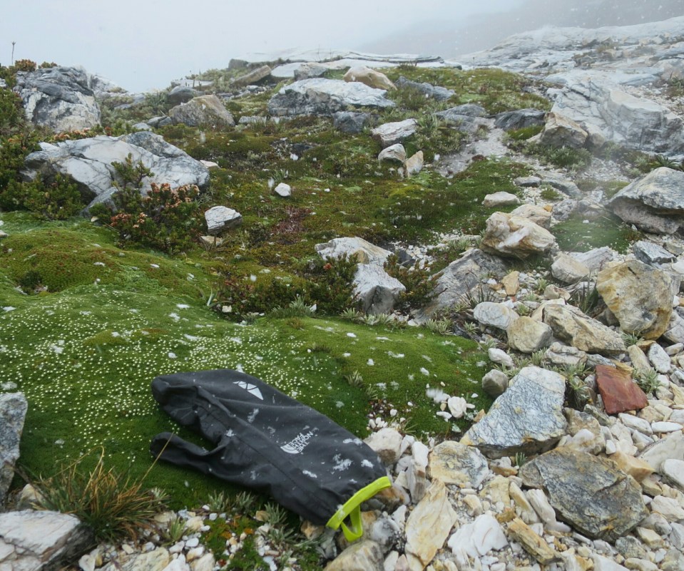 2016-01-15 21.24.30.jpg image