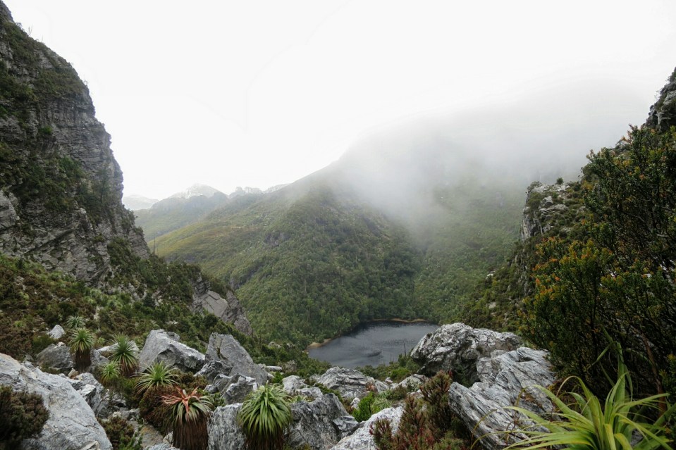 2016-01-15 21.26.14.jpg image