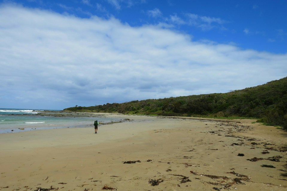 2016-02-16 19.45.56.jpg image