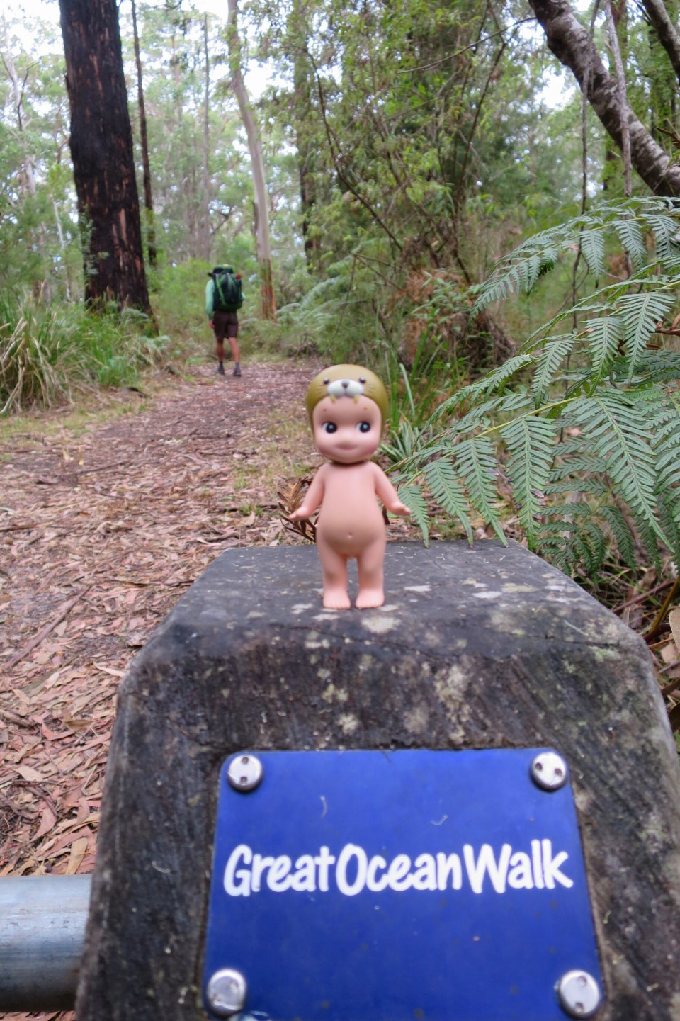 2016-02-16 19.47.25.jpg image