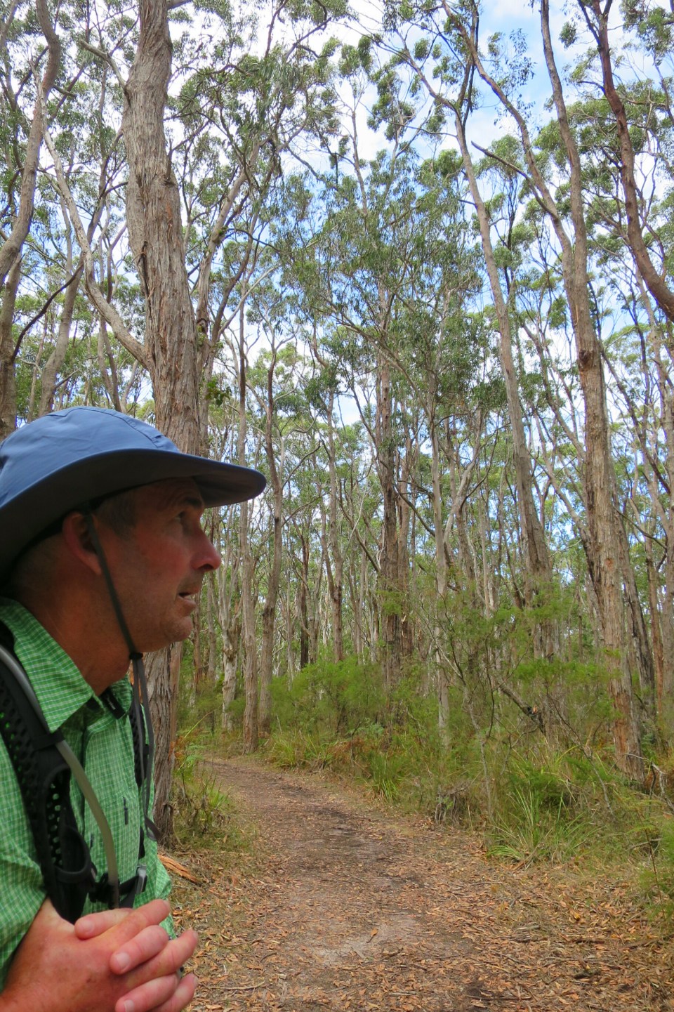 2016-02-16 19.48.19.jpg image