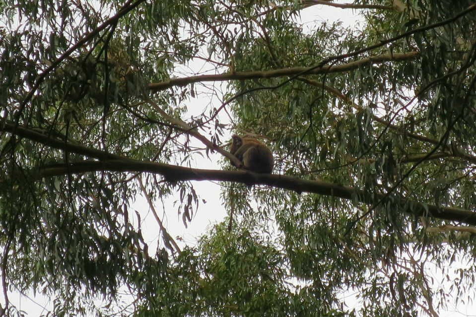 2016-02-16 19.52.26.jpg image