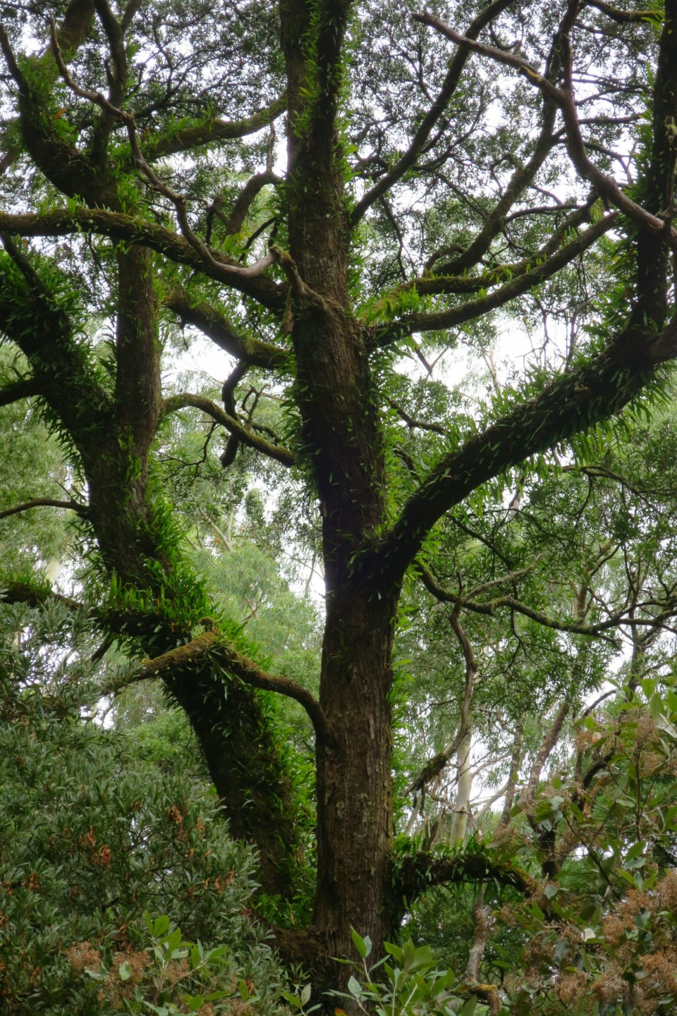 2016-02-16 19.53.51.jpg image