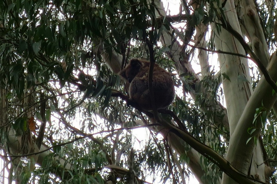 2016-02-16 19.54.19.jpg image