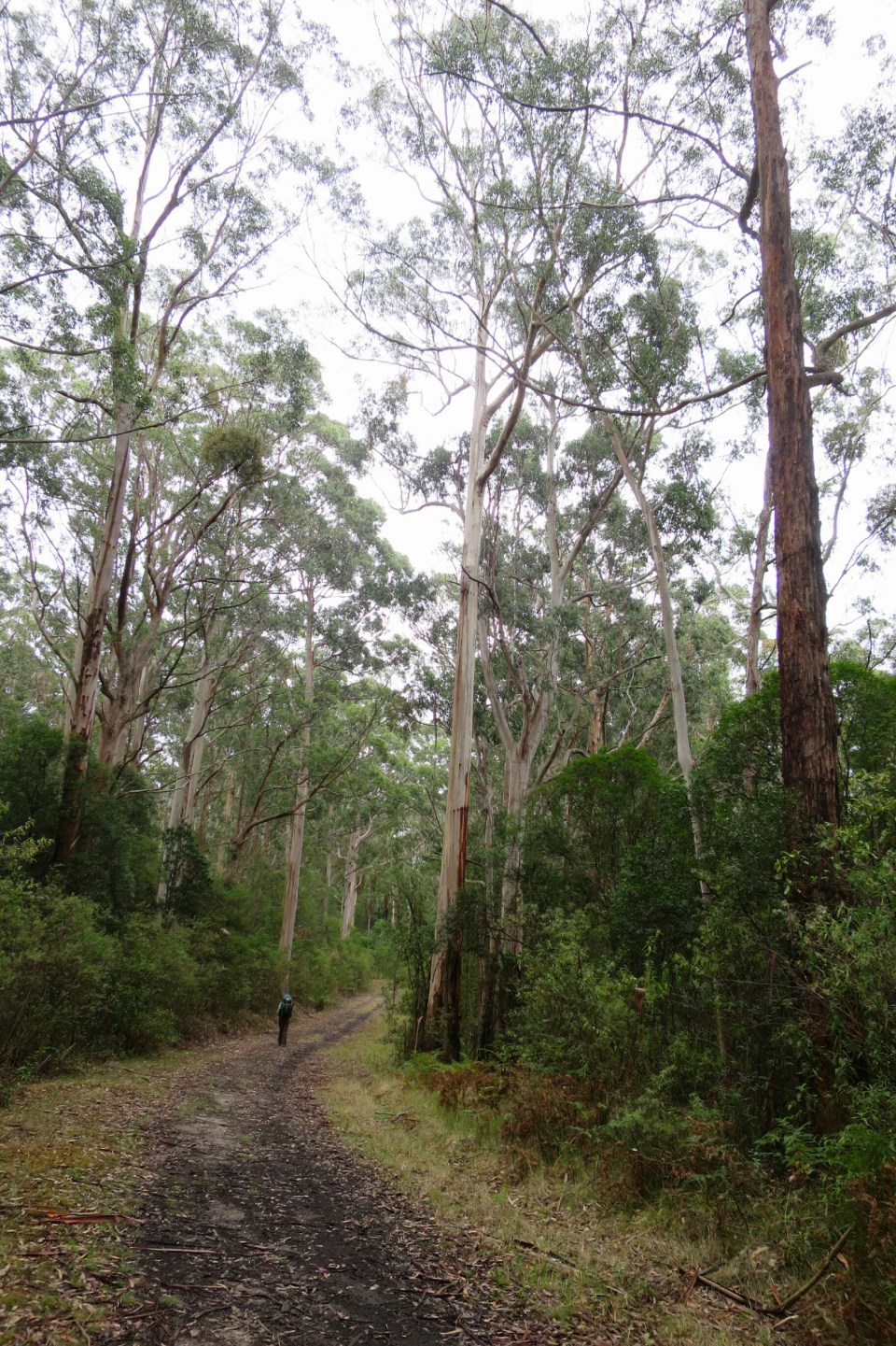 2016-02-16 19.54.55.jpg image