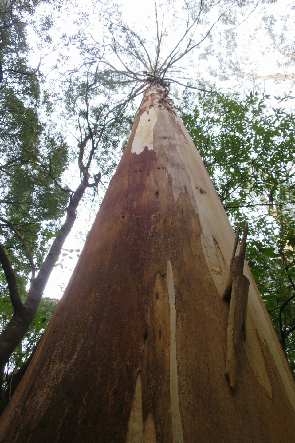 2016-02-16 19.56.05.jpg image