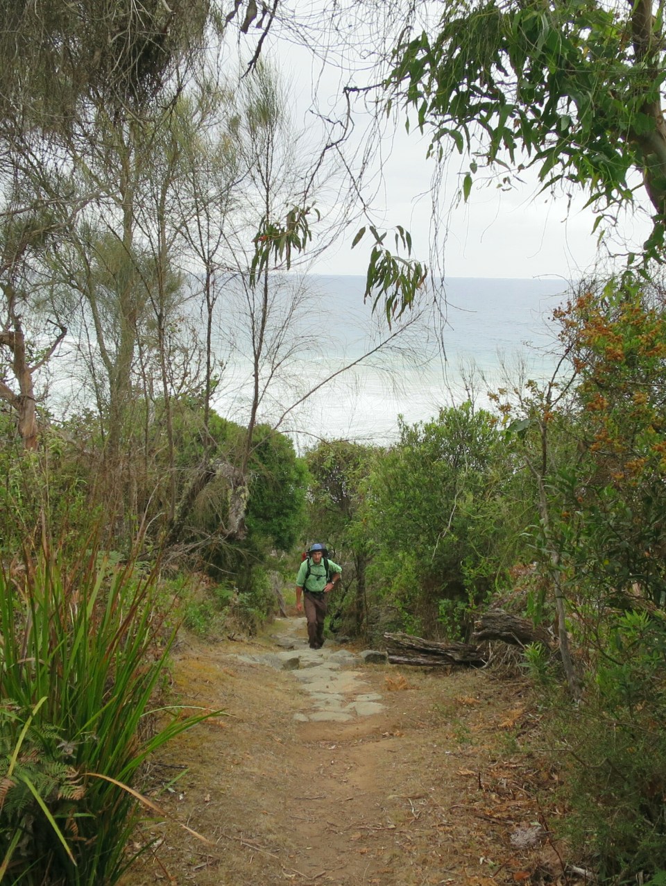 2016-02-16 19.57.38.jpg image